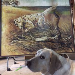 Oil Painting of a Dog