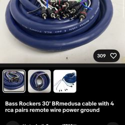 Bass Rocker 30’ Medusa Cable 4 RCA