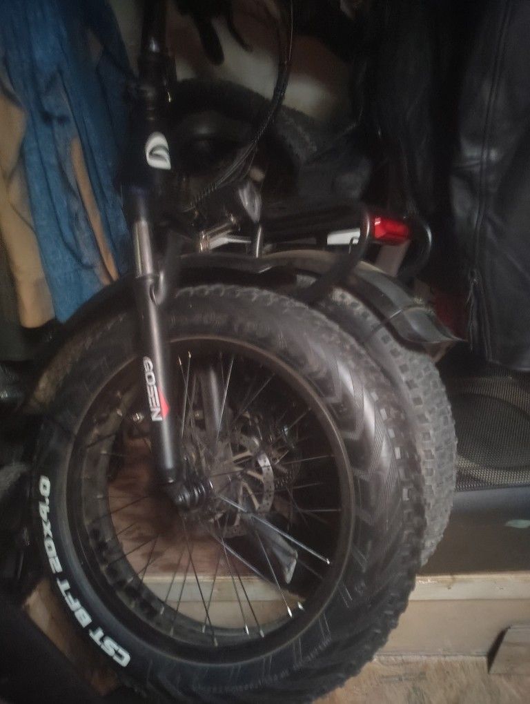 Electric Bike