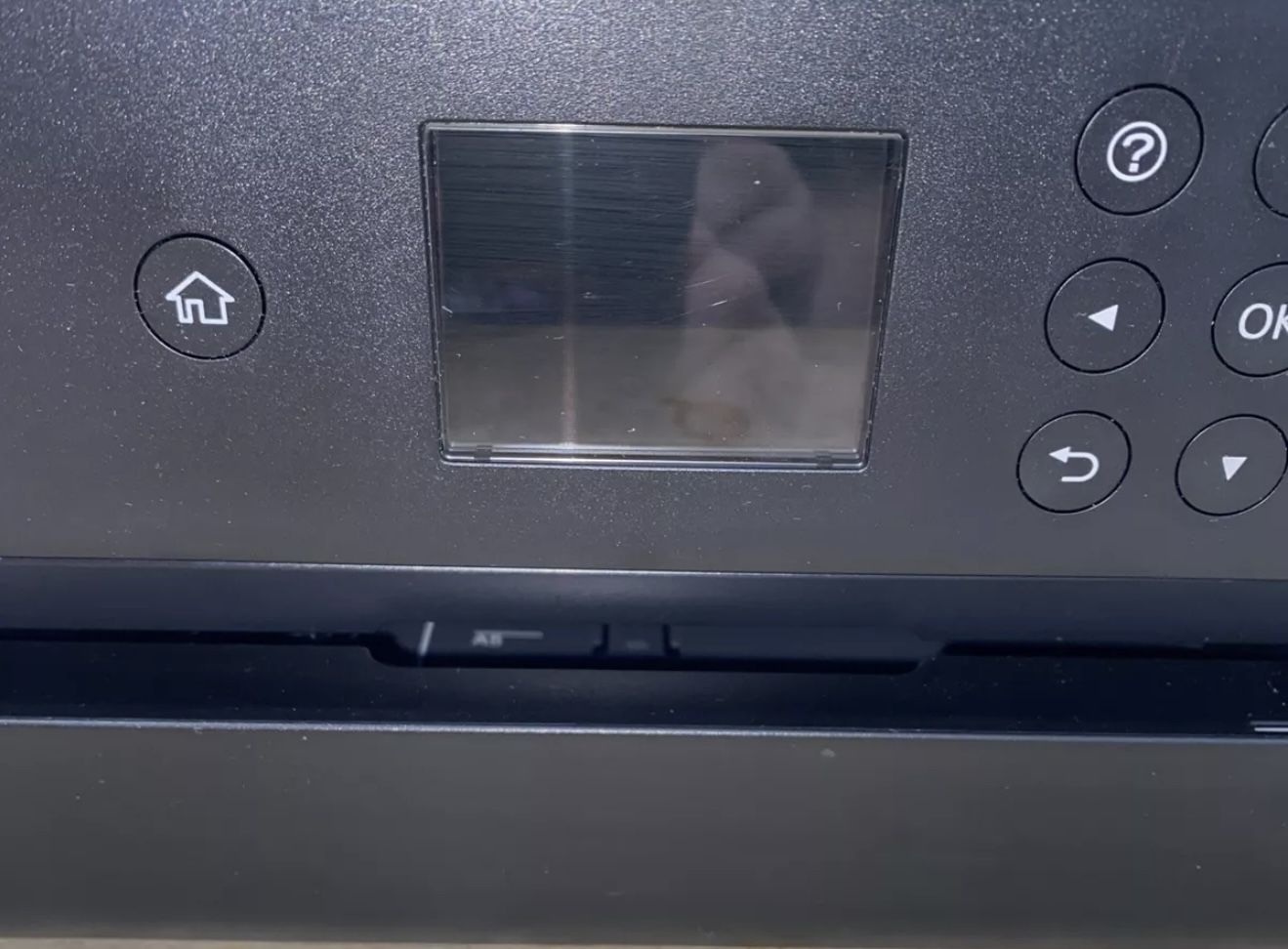 Epson Xp 15.000