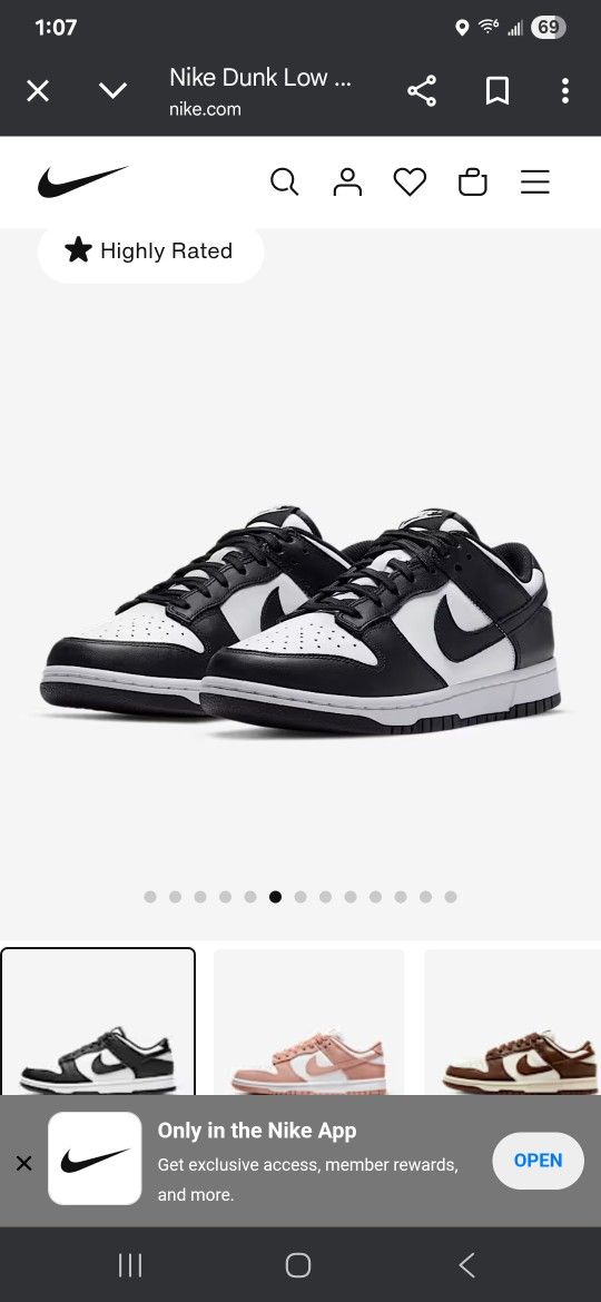 Nike Black Dunks