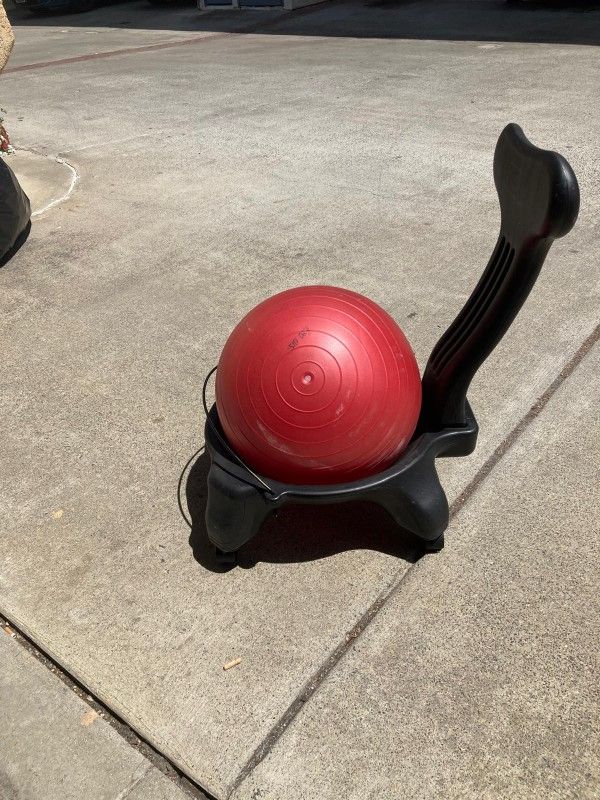 Exercise Items