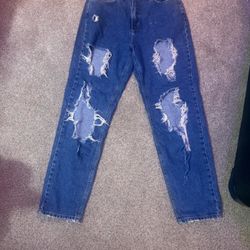 Urban Outfitters BDG High Rise Distressed Jeans Women’s 31