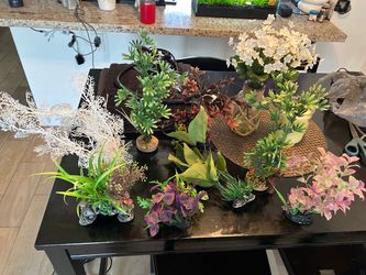 Aquarium plants take all 30$