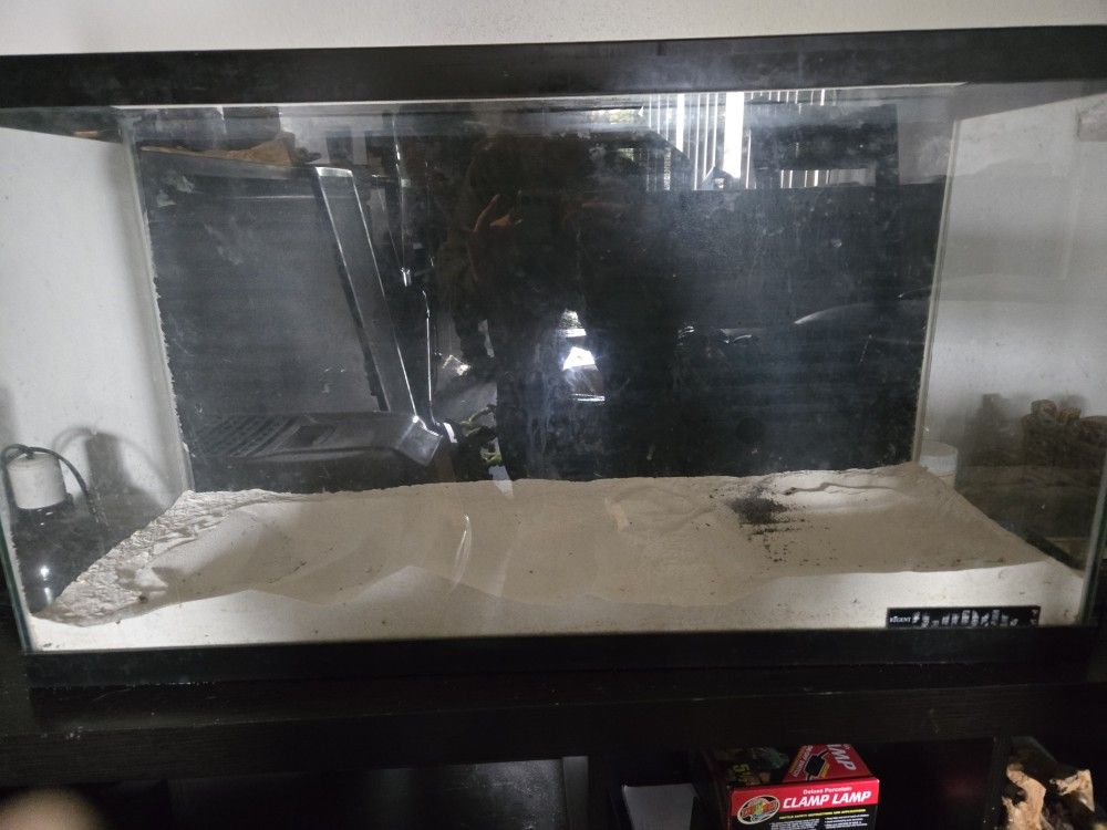 Aquarium Tank With Sand / Brand New Bed Frame