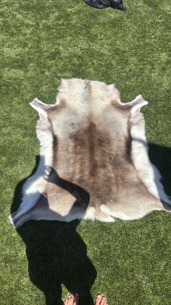 Deer pelt rug