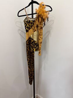 Awish Come True Leopard Patchwork Feather-Trim Costume Medium Child