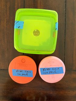 Sandwich Container & 2 Reusable Ice Packs