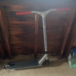 Lucky Cody Flom Scooter 