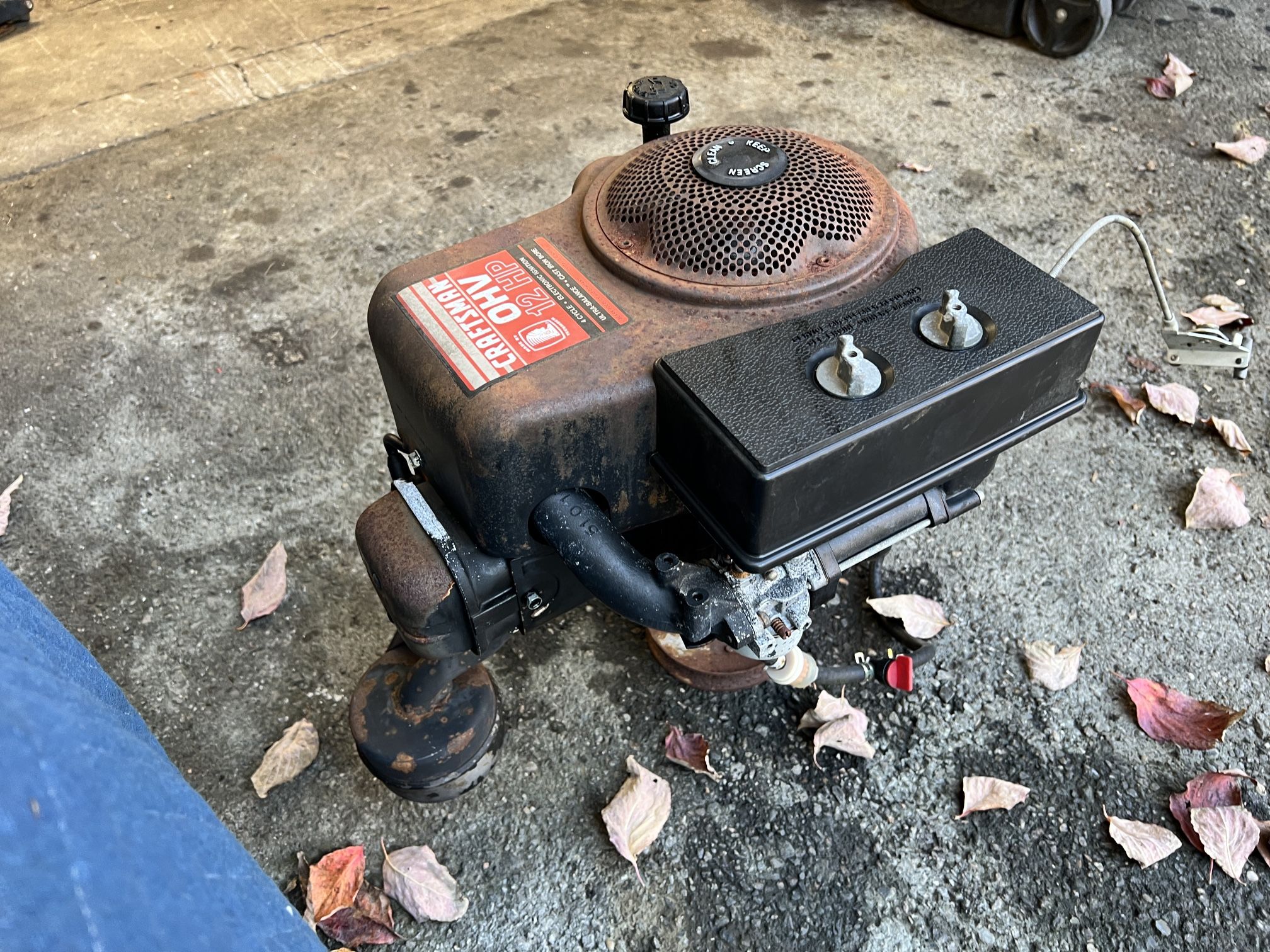 Lane Mower Motor