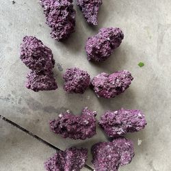 Fiji  reef rock