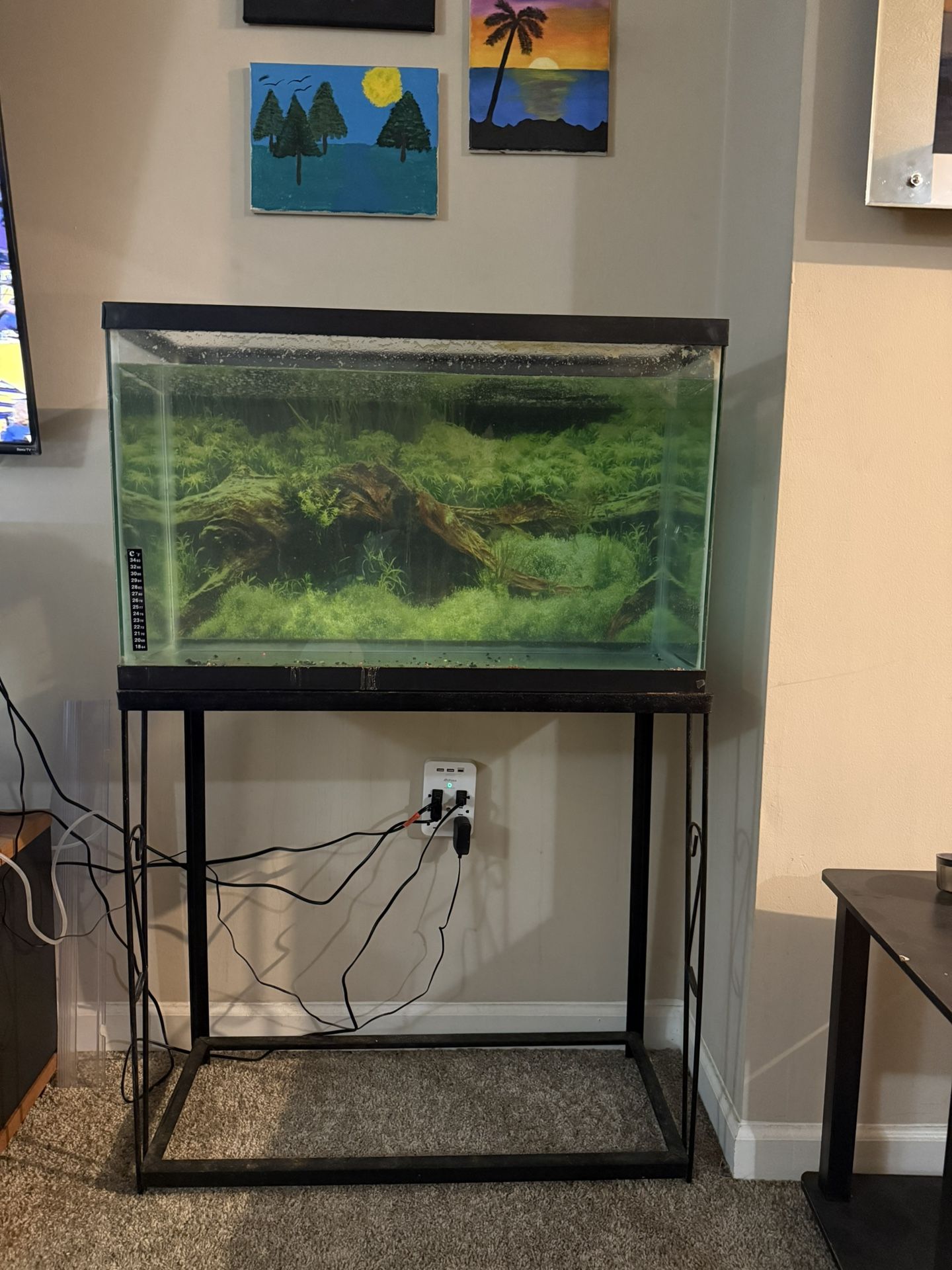 Fish Tank For sale