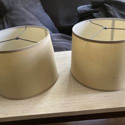 2  Lamp Shades