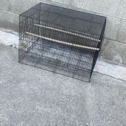 Black Birds Cage