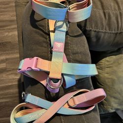 Dog Harness