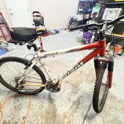 Mens Mt Bike Iguana giant 