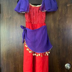 Esmeralda / Jasmine Disney Princess Halloween Costume - Size 8-10