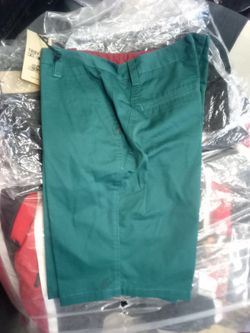 BN Troy Lee Teal Shorts Size 36