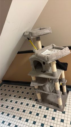 Cat play house
