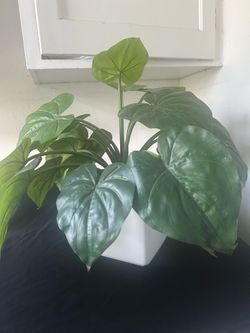Artificial plant