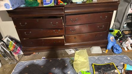 Chestnut in good condition