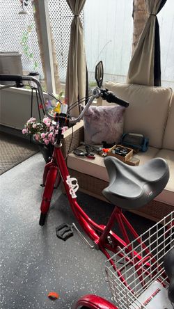 Adult tricycle 150.00