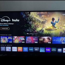 Vizio Smart Tv 