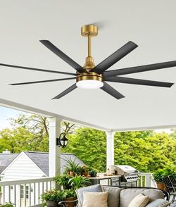 Large Ceiling Fan with Light Kit