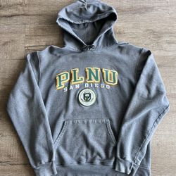 University Hoodie 