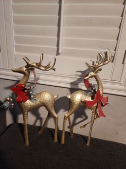 Reindeers Set