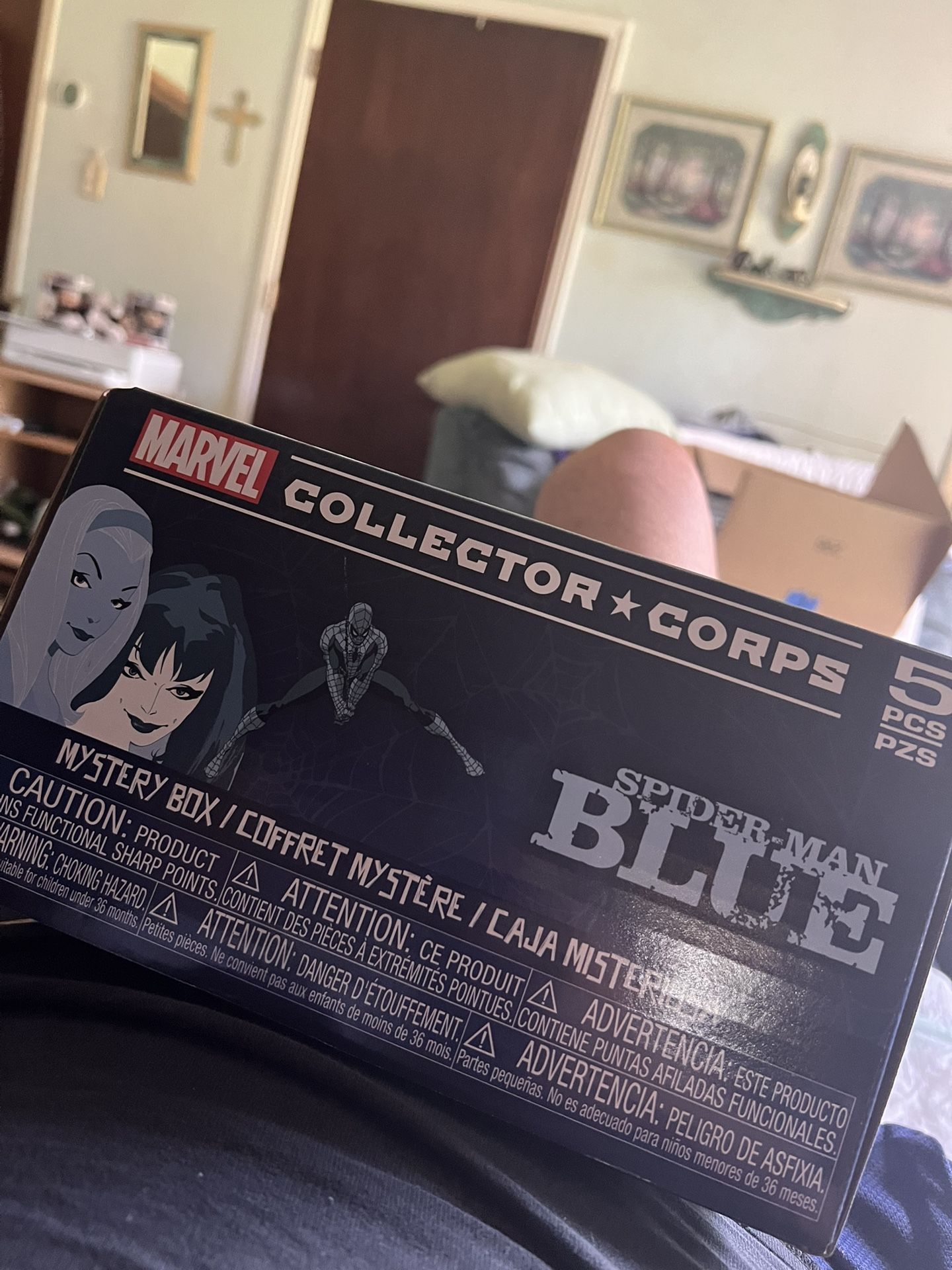 Spider-Man Blue Marvel Collector Corps Box