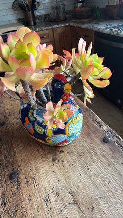 Talavera pottery chicken/ with succulent plant