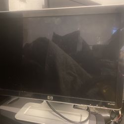 Hp Computer Monitor 