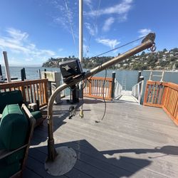 Stainless Steel Davit Crane (Boat Hoist) w/ Dayton Electric Winch 