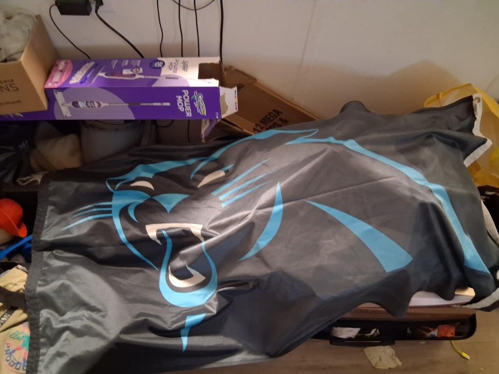 Panthers Flag