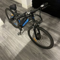 Electric Bike 