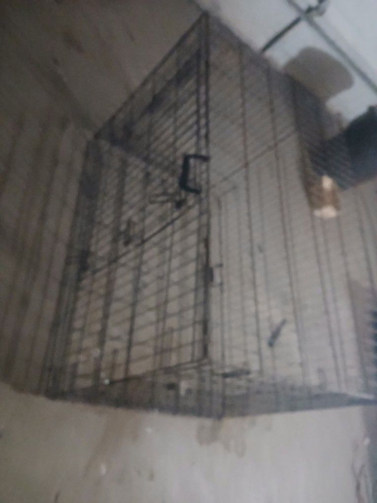 Dog Cage 