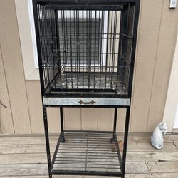 Parrot Cage 