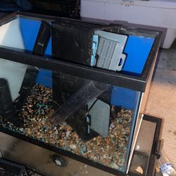 Fish Tanks/gecko Tanks