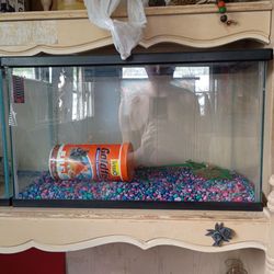 2 fish tanks