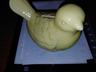Birdy  bank