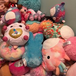 Squishmallows And  Plushies 
