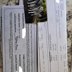 all Paid Trip