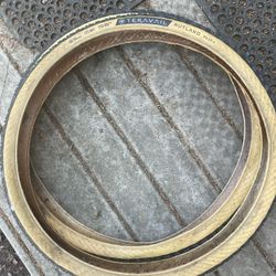Teravail Rutland 29x2.2 Ebike Tires
