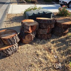 Pine Discs