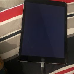 Two iPad For Price Of One