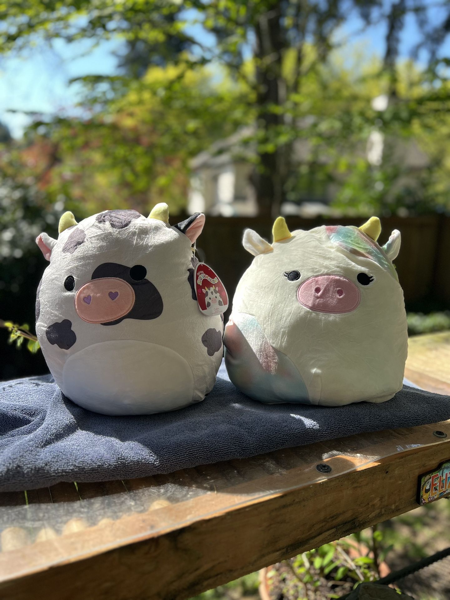 Squishmallow Cow Bundle