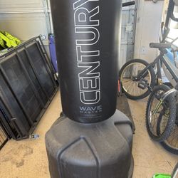 Century Punching bag