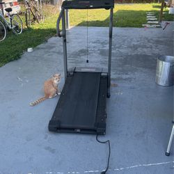 Treadmill Need It Gone 