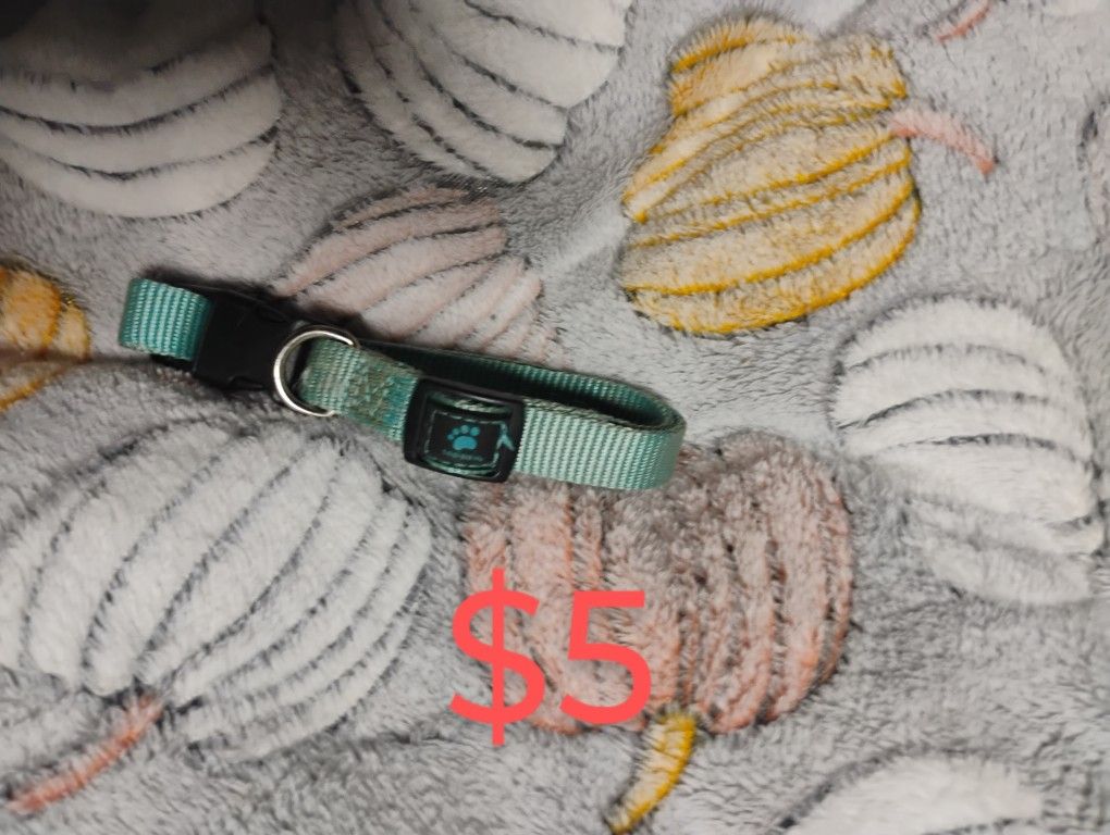 Small Dog/Puppy Collar